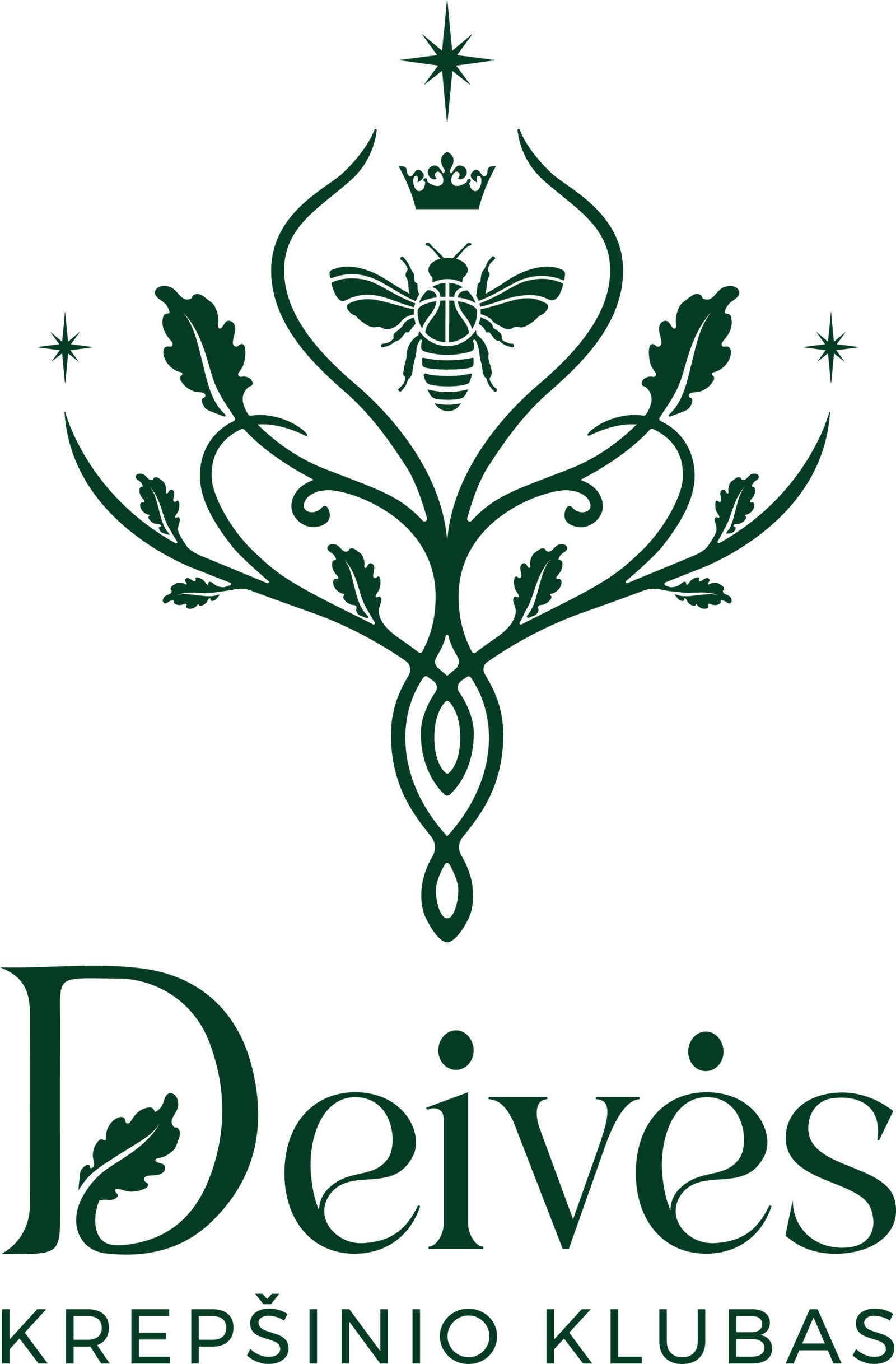 Druskininkų BC Deivės – komandos profilis